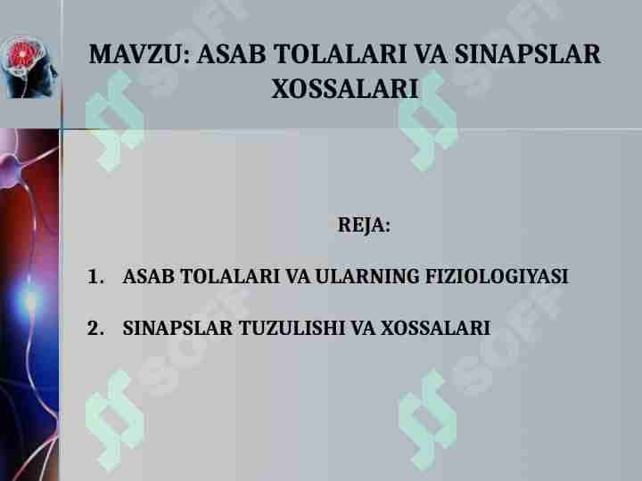 ASAB TOLALARI VA SINAPSLAR