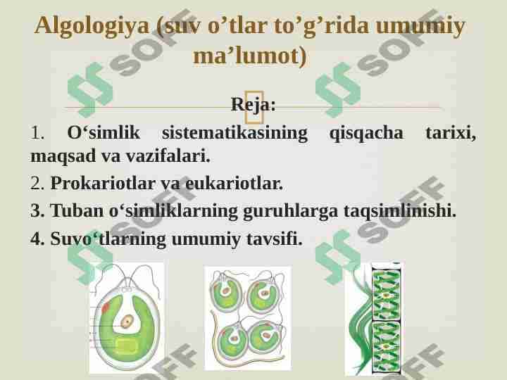 Algologiya (suv o’tlar to’g’rida umumiy ma’lumot)