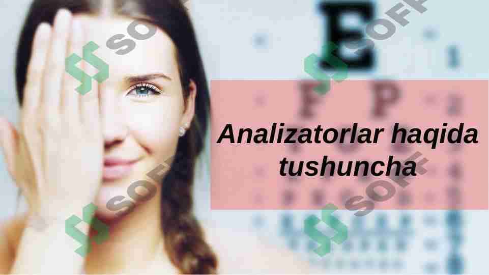 Analizatorlar haqida tushuncha