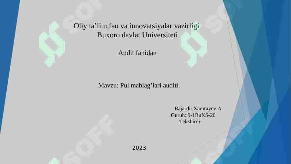 Pul mab'lag'lar auditi