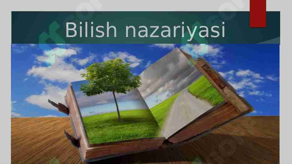 Bilish nazariyasi
