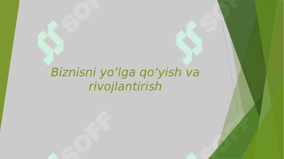 Biznisni yoʻlga qoʻyish va rivojlantirish