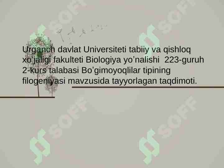 Boʼgimoyoqlilar tipining filogeniyasi