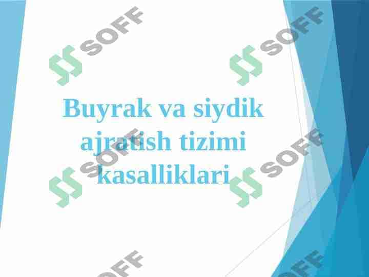 Buyrak va siydik ajratish tizimi kasalliklari