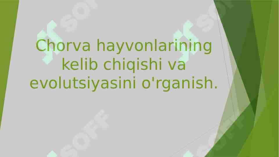 Chorva hayvonlarining kelib chiqishi va evolutsiyasini o'rganish.