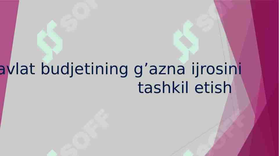 Davlat budjetining g'azna ijrosini tashkil etish