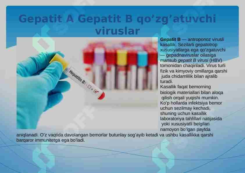 Gepatit A Gepatit B qo’zg’atuvchi viruslar