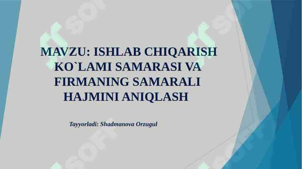 ISHLAB CHIQARISH KO`LAMI SAMARASI VA FIRMANING SAMARALI HAJMINI ANIQLASH