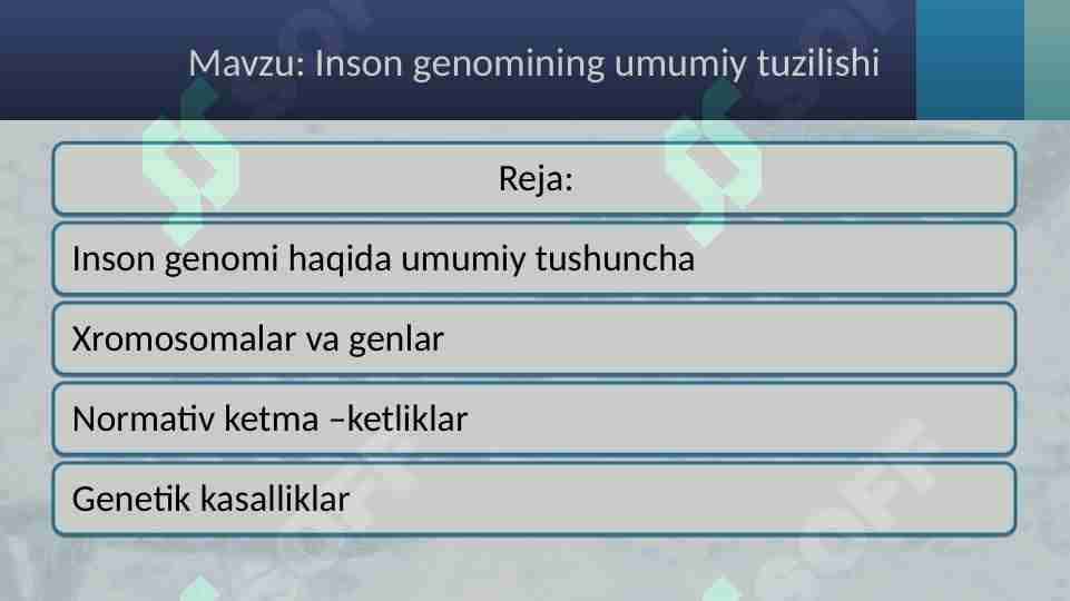 Inson genomining umumiy tuzilishi