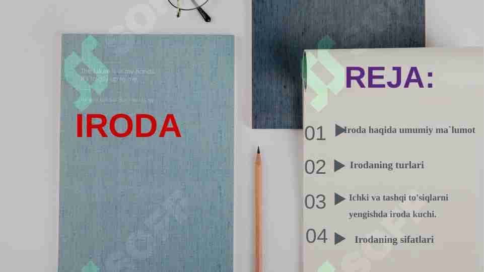 Iroda haqida umumiy ma'lumot