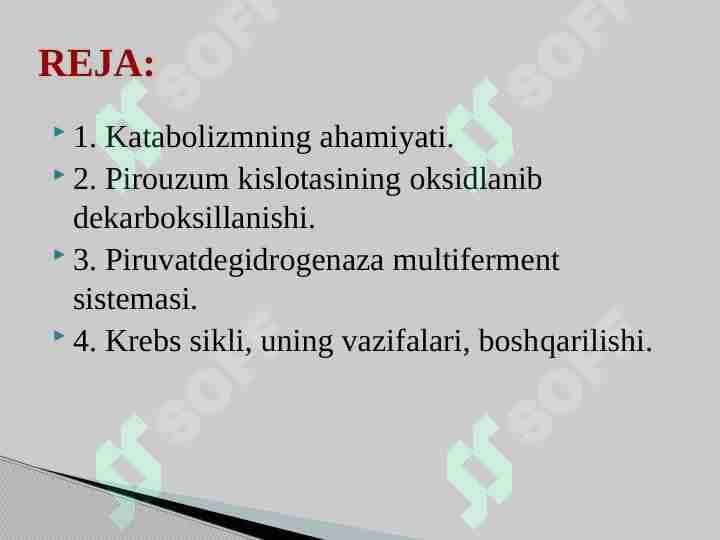 KATABOLIZMNING UMUMIY YO‘LLARI