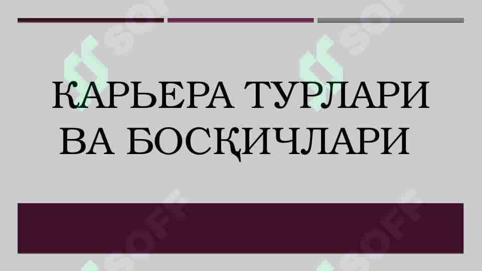 Karyera turlari va bosqichlari