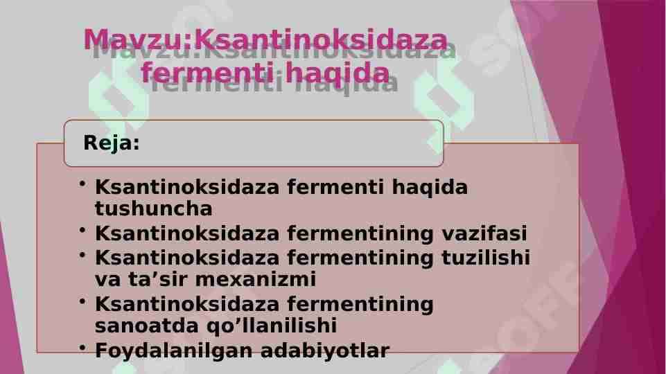 Ksantinoksidaza fermenti haqida