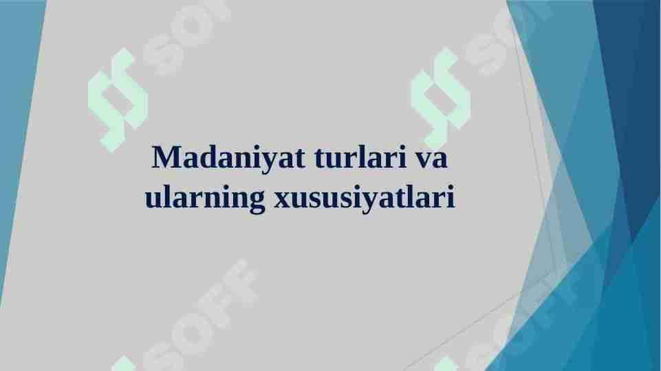 Madaniyat turlari va ularning xususiyatlari