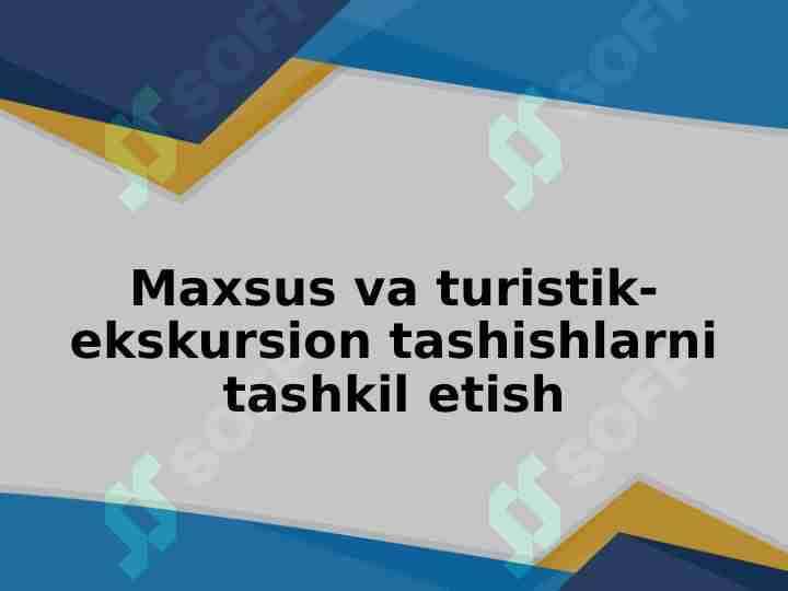 Maxsus va turistik-ekskursion tashishlarni tashkil etish