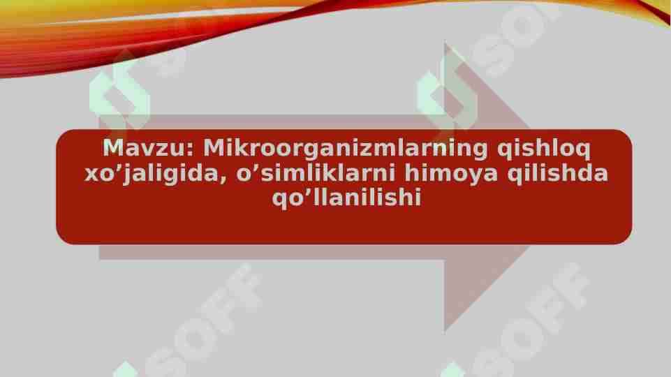 Mikroorganizmlarning qishloq xo’jaligida, o’simliklarni himoya qilishda qo’llanilishi