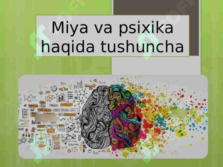 Miya va psixika haqida tushuncha