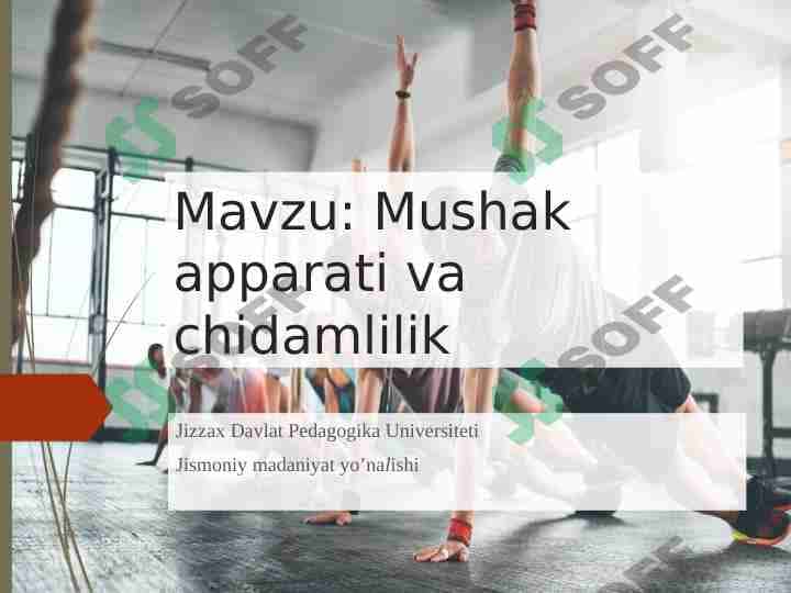 Mushak apparati va chidamlilik