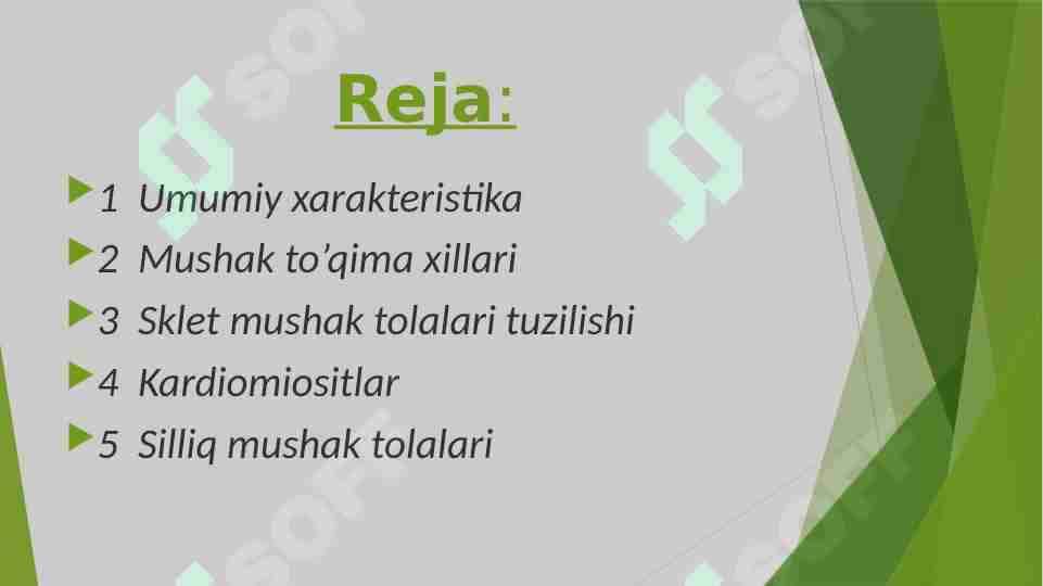 Mushaklar