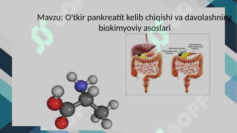 O'tkir pankreatit kelib chiqishi va davolashning biokimyoviy asoslari