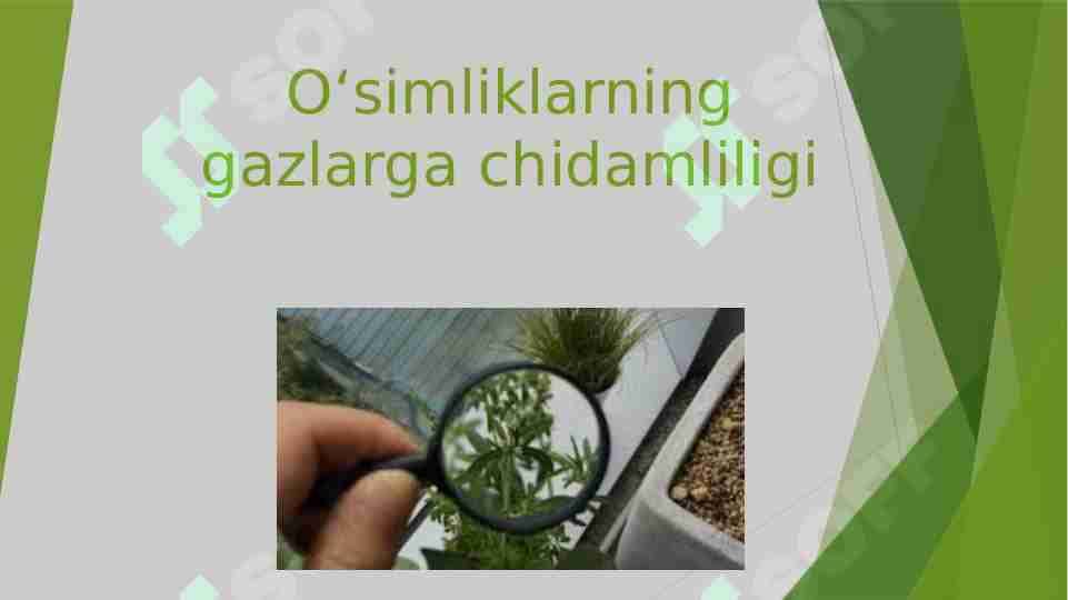 Oʻsimliklarning gazlarga chidamliligi