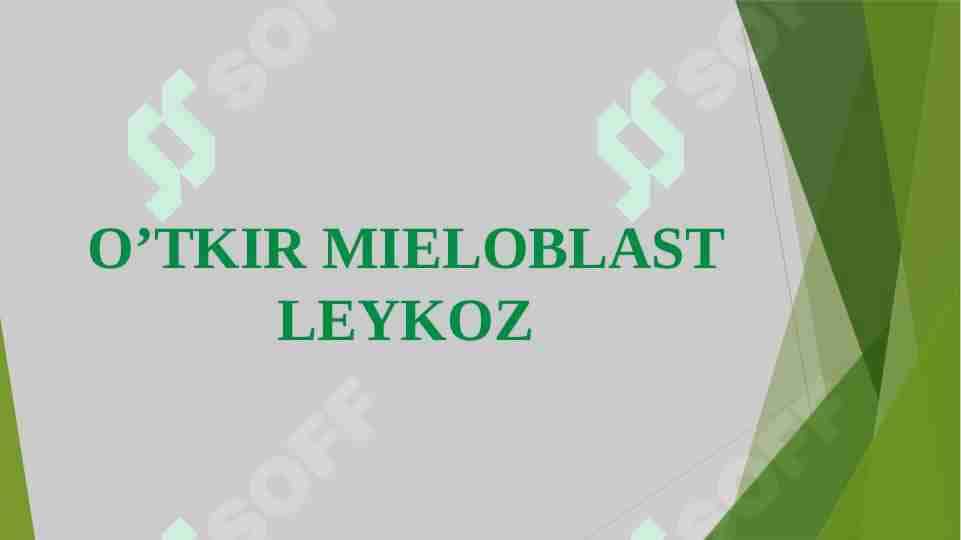 O’TKIR MIELOBLAST LEYKOZ