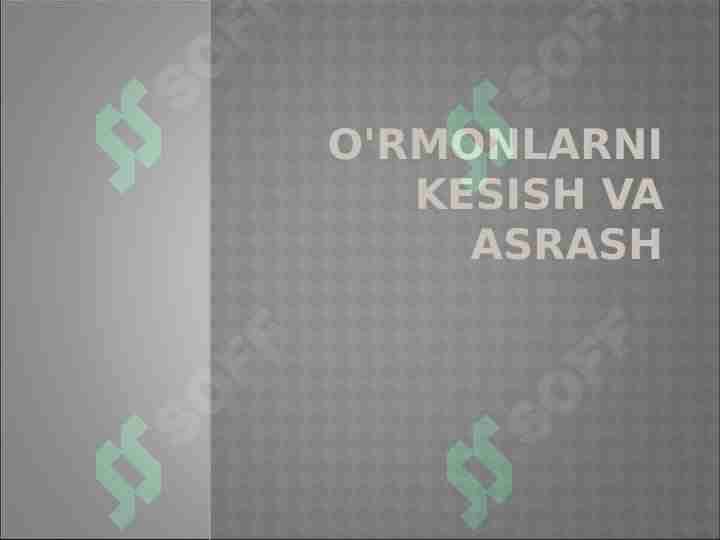 O'rmonlarni kesish va asrash