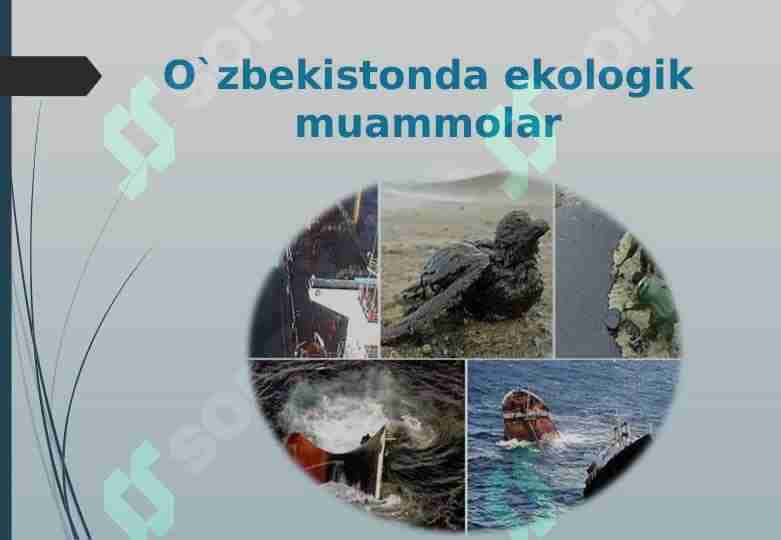 O`zbekistonda ekologik muammolar va ularning hal etilishi.