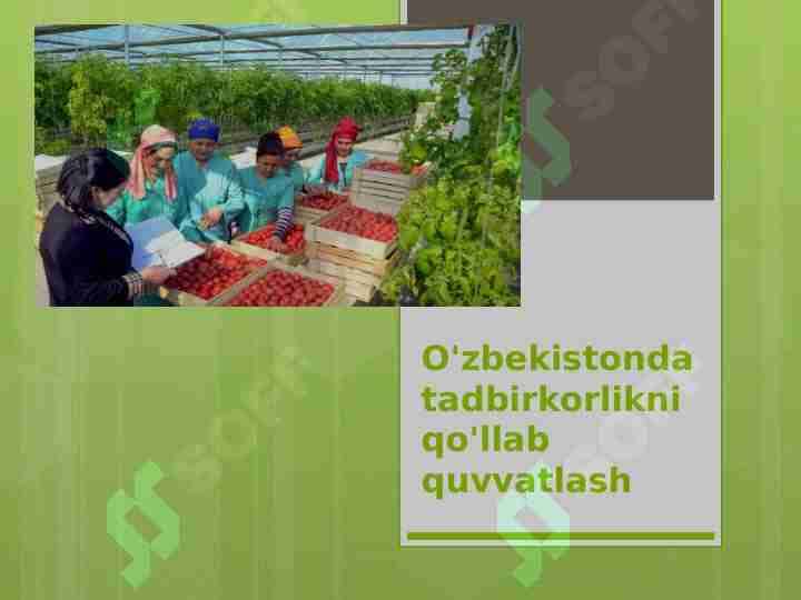 O'zbekistonda tadbirkorlikni qo'llab quvvatlash