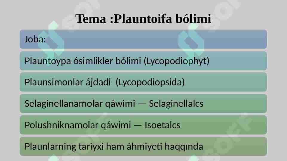 Plauntoifa bólimi