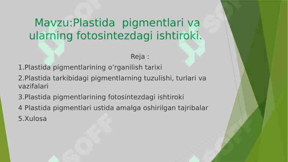 Plastida pigmentlari va ularning fotosintezdagi ishtiroki