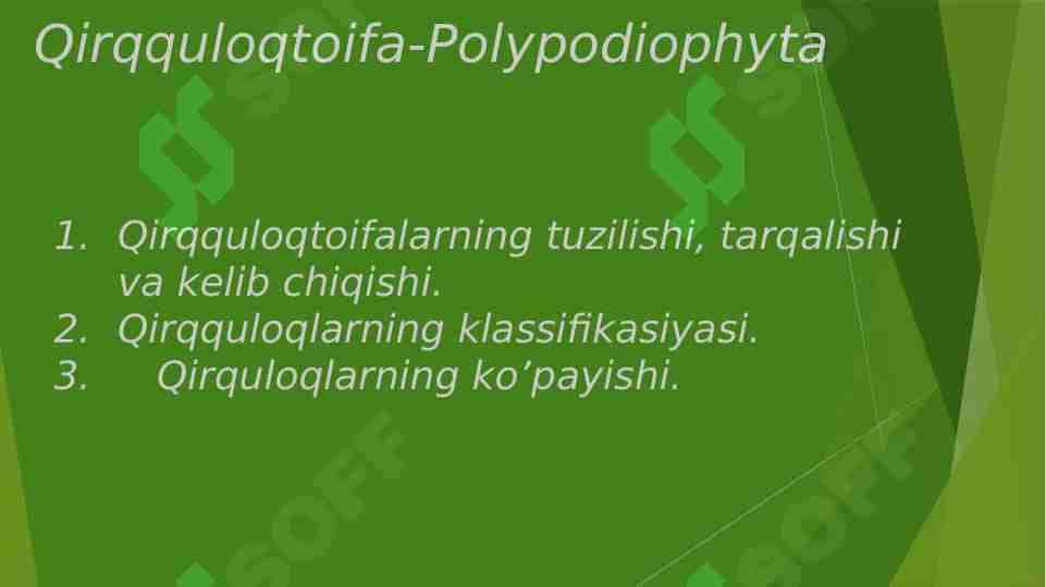 Qirqquloqtoifa-Polypodiophyta