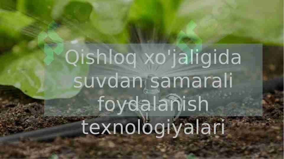 Qishloq xo'jaligida suvdan samarali foydalanish texnologiyalari