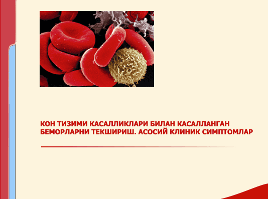 КОН ТИЗИМИ КАСАЛЛИКЛАРИ БИЛАН КАСАЛЛАНГАН БЕМОРЛАРНИ ТЕКШИРИШ. АСОСИЙ КЛИНИК СИМПТОМЛАР