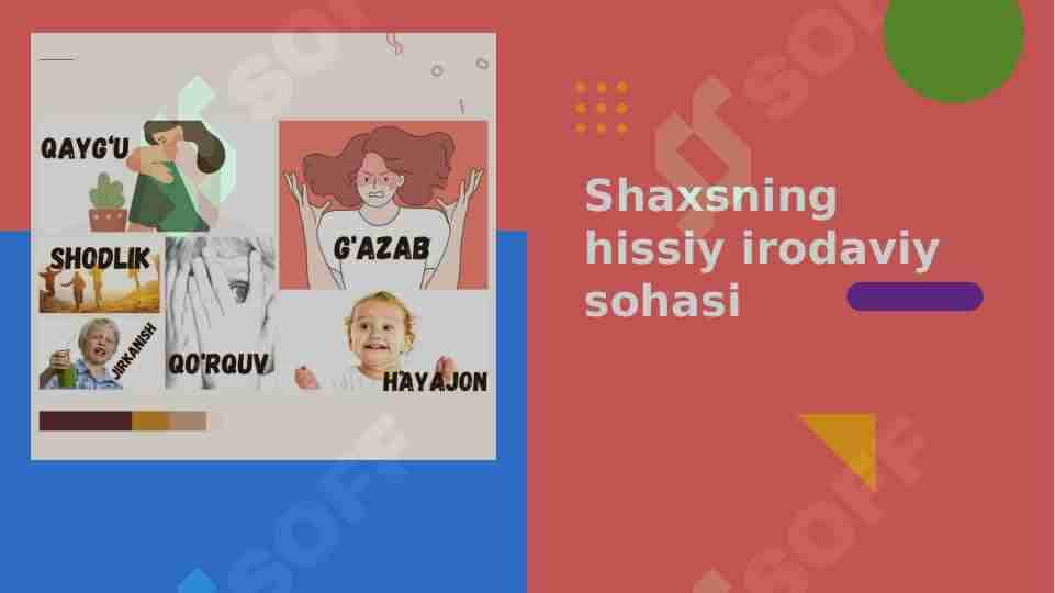 Shaxsning hissiy irodaviy sohasi