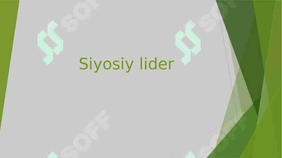 Siyosiy lider