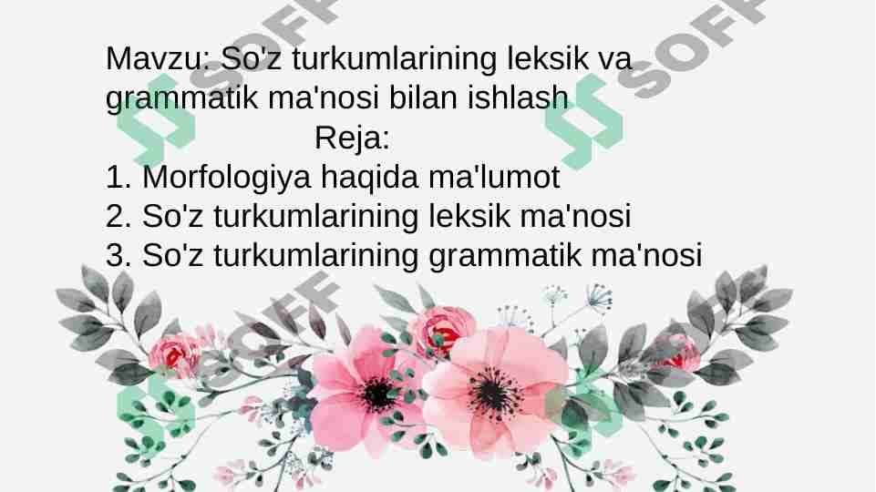 So'z turkumlarining leksik va grammatik ma'nosi bilan ishlash