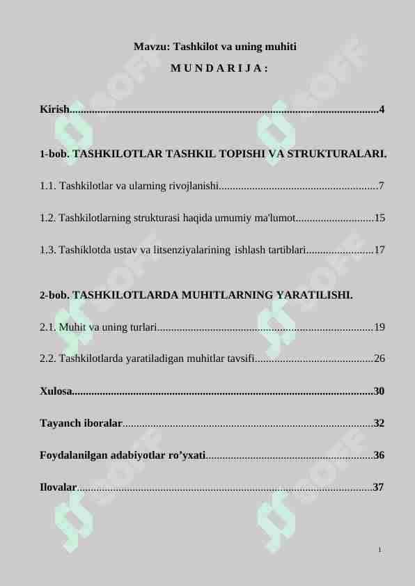 Tashkilot va uning muhiti