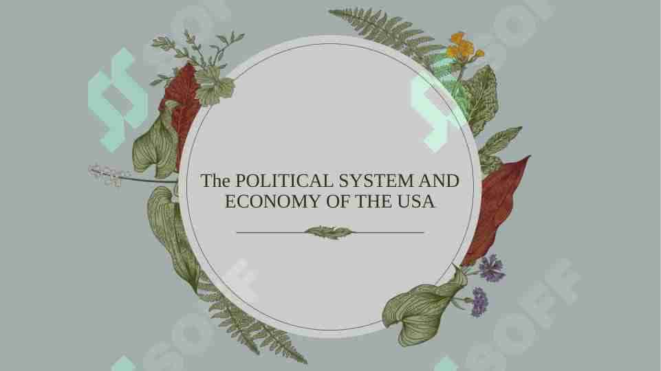 The POLITICAL SYSTEM AND ECONOMY OF THE USA