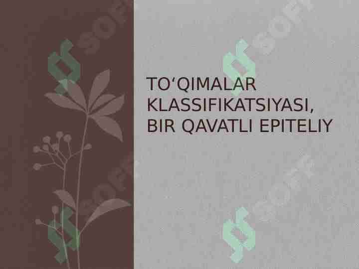 Toʻqimalar klassifikatsiyasi, bir qavatli epiteliy