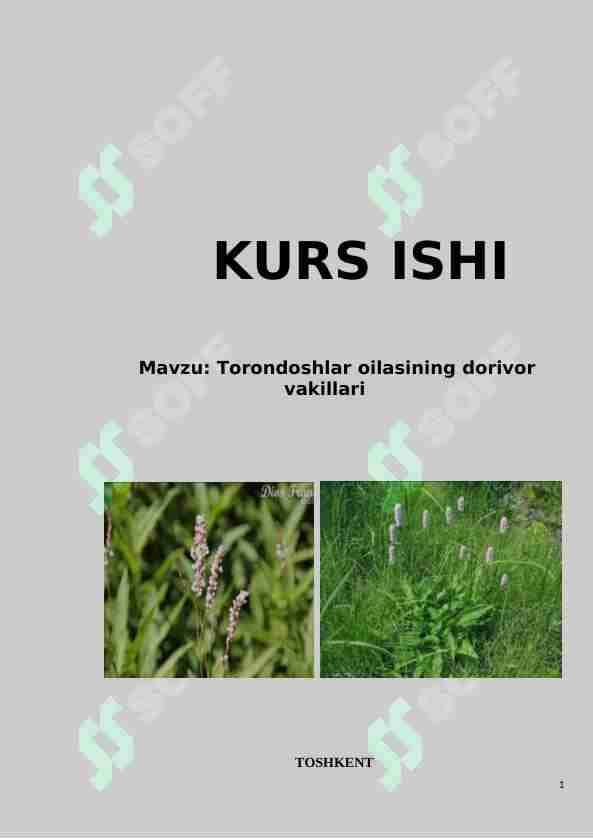 Torondoshlar oilasining dorivor vakillari