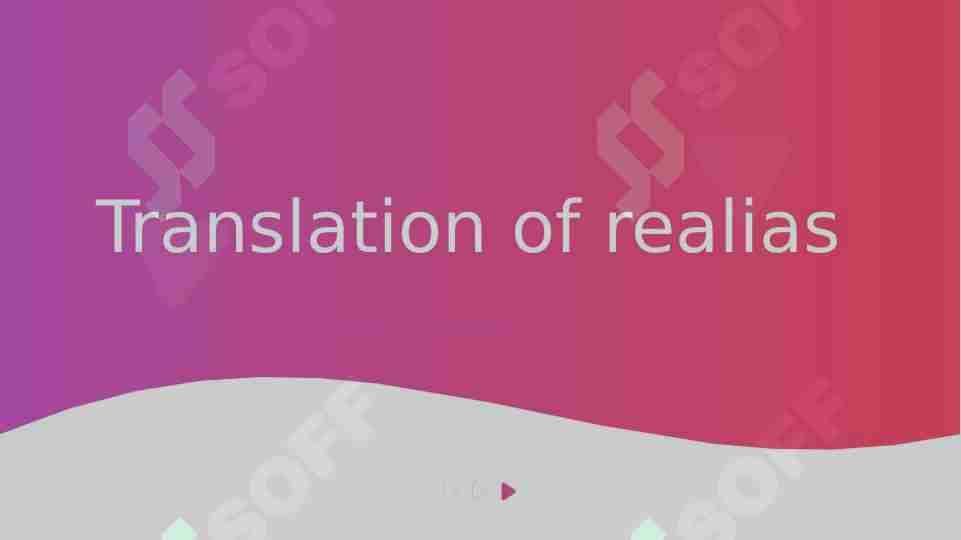 Translation of realias