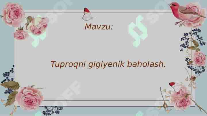 Tuproqni gigiyenik baholash