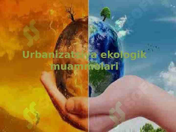 Urbanizatsiya ekologik muammolari