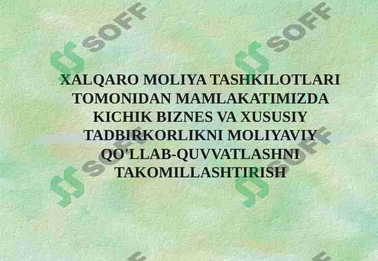 XALQARO MOLIYA TASHKILOTLARI TOMONIDAN MAMLAKATIMIZDA KICHIK BIZNES VA XUSUSIY TADBIRKORLIKNI MOLIYAVIY QO'LLAB-QUVVATLASHNI TAKOMILLASHTIRISH