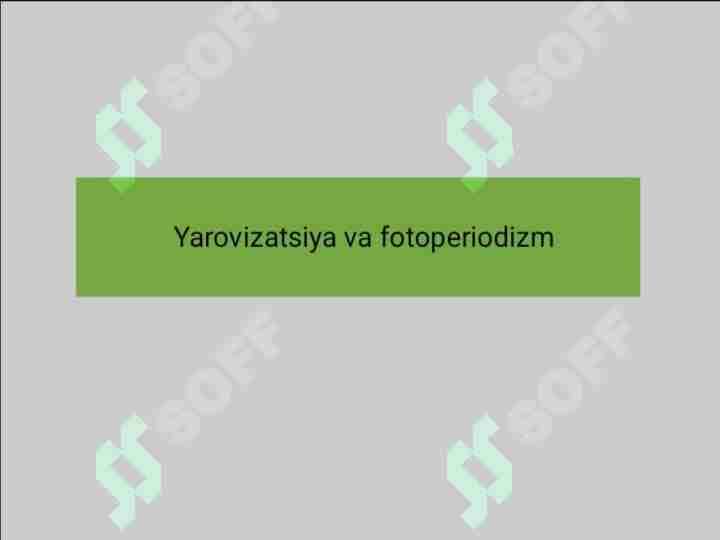 YAVORIZATSIYA VA FOTOPERIODIZM