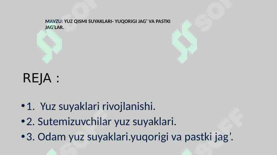 YUZ QISMI SUYAKLARI- YUQORIGI JAG‘ VA PASTKI JAG‘LAR