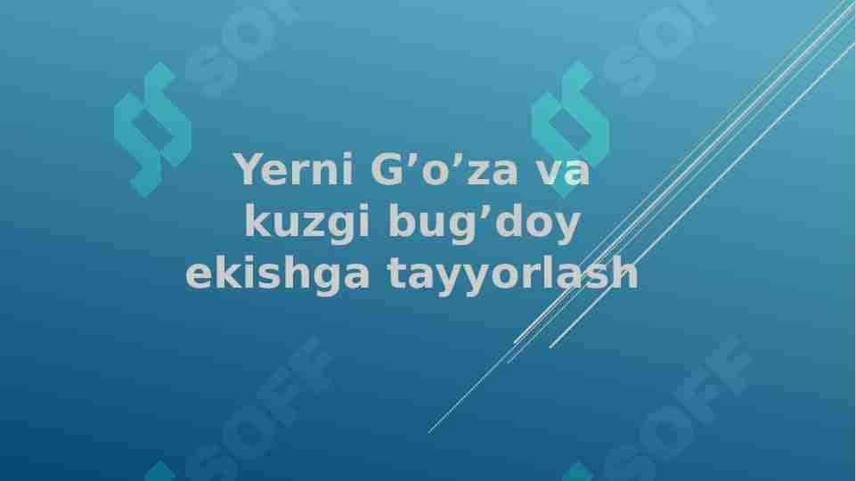 Yerga g'o'za va kuzgi bug'doy ekish tartibi