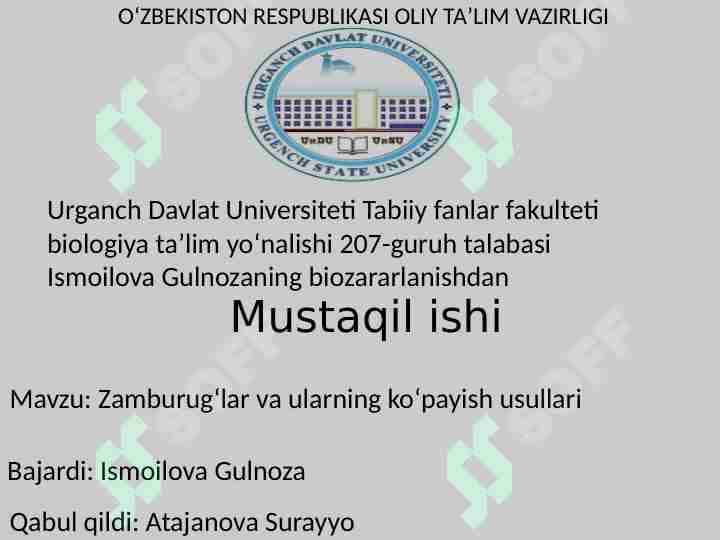Zamburugʻlar va ularning koʻoayishi