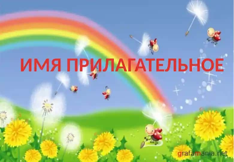 ИМЯ ПРИЛАГАТЕЛЬНОЕ
